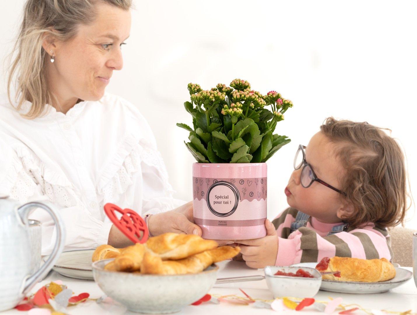 Kalanchoe Pink In P&PURE "SPECIAL POUR TOI" Verpakking - Ø12cm - ↕27cm 