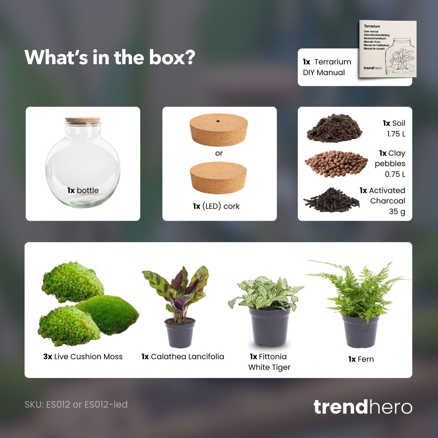 Flaschengarten - Bolder Bob - ↕ 30 cm - No tools 