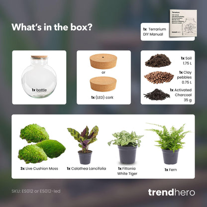 Flaschengarten - Bolder Bob - ↕ 30 cm - No tools 