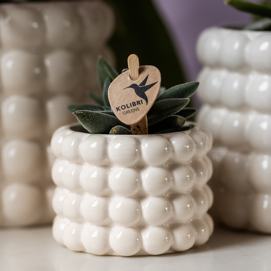 Kolibri Home | Poppy Ziertopf - White - Ø6cm 