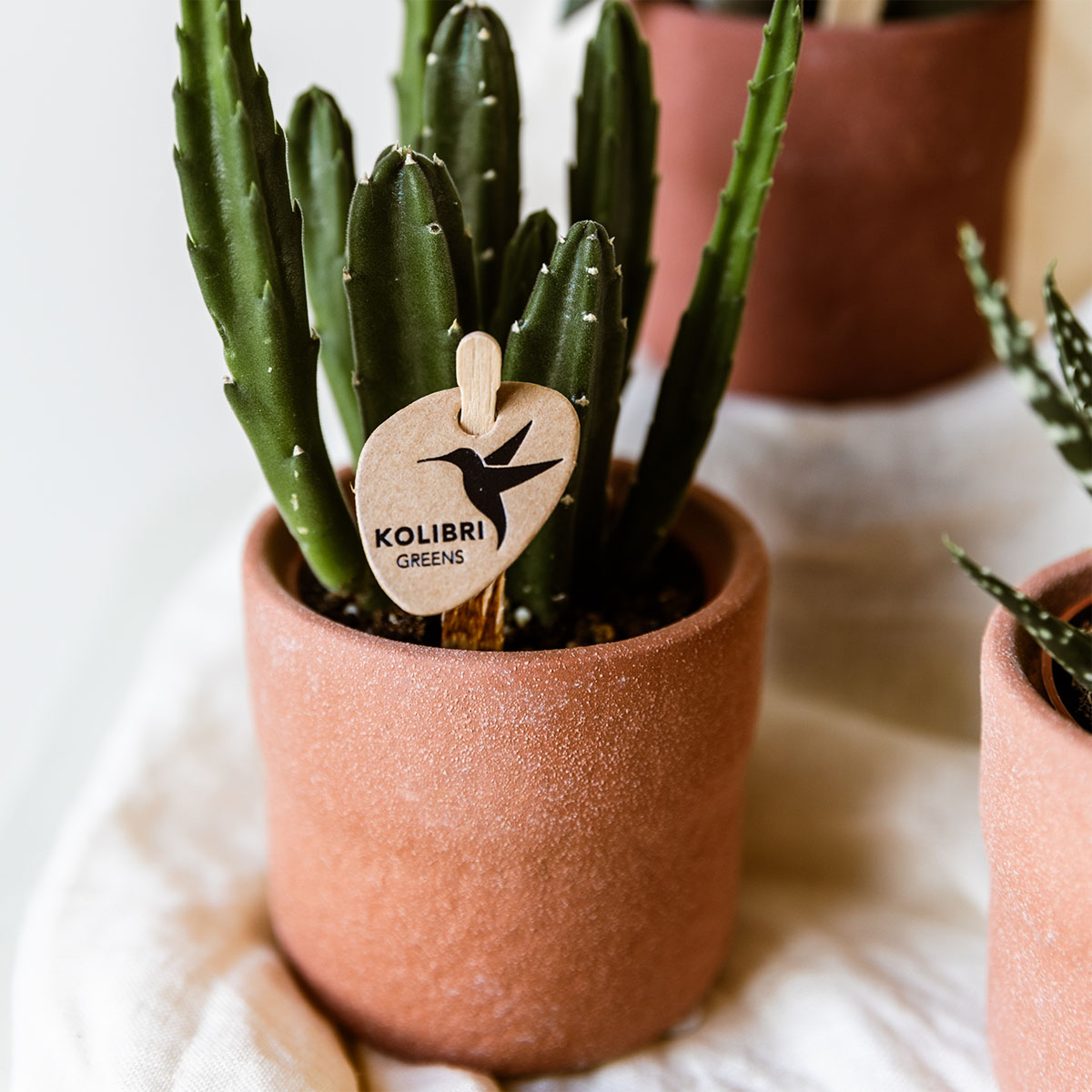 Rustic Zierpflanztopf Burned Orange – Ø6cm – Kleiner Pflanztopf im warmen Orange – Minimalistisches Design mit organischen Formen – Für Innenräume & natürliche Wohnakzente 