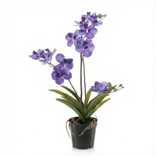Orchidee Vanda Kunstpflanze – ca.60cm – Violett – Künstliche Orchidee im Topf – Pflegefreie Dekopflanze für Wohnzimmer Büro & Empfang