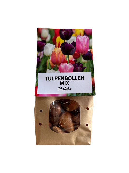 Tulpenzwiebeln Mix – 20 Blumenzwiebeln – Bunte Tulpenmischung für Garten, Topf oder Beet – Frisch vom Züchter – Pflegeleicht & mehrfarbig – Frühblüher für Frühjahr 