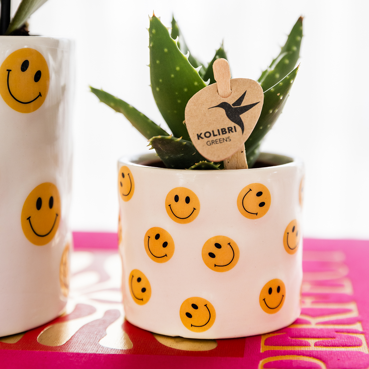 Kolibri Home | Smiley Übertopf - Ø6cm 