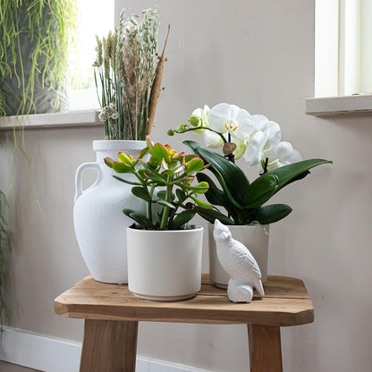 Kolibri Home | Simplicity pot - Wit - 9cm 