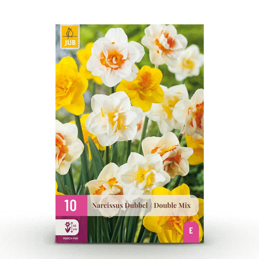 GreenboutiQ - Blumenzwiebeln - Narcis Double Mix - Farben Gelb und Weiß - 10 Stück - Zwiebelgröße 12/14 - XXL Pack 