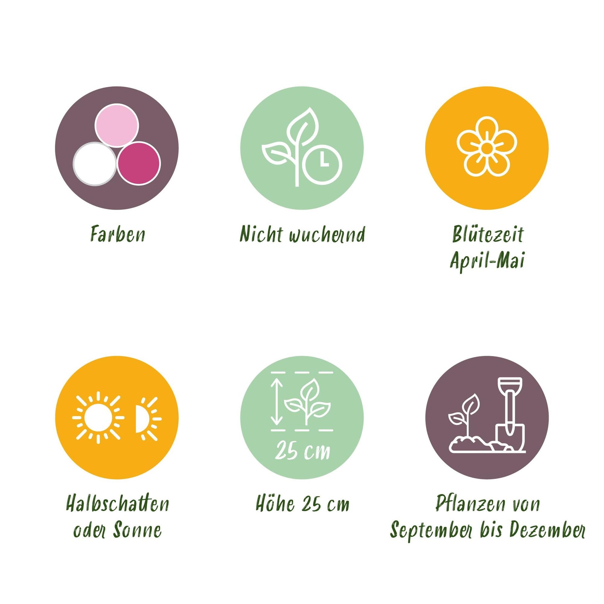 GreenboutiQ - Blumenzwiebeln - Hyacinth Pastel mix - Verschiedene Pastellfarben - 10 Stück - Zwiebelgröße 14/15 - XXL Pack 