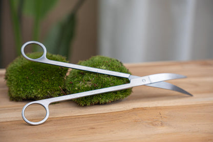 Lange Terrarienschere – Edelstahl – 25cm – Präzisionsschere mit gebogener Klinge – Rostfreie Aquascaping & Pflanzenpflege-Schere – Für Terrarien, Aquarien & Flaschengärten 