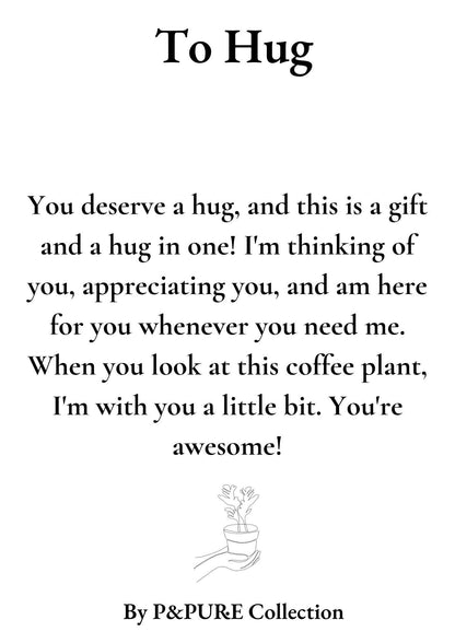 Coffea Arabica Gift "To Hug" WITH GREETING CARD! - Ø12cm - ↕20cm 