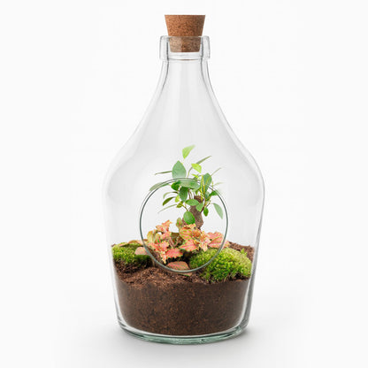 Offener Flaschengarten „John“ 30cm – Bonsai & Ruby Lime Fittonia – Glasflaschenterrarium mit Moos – Natürliches Mini-Ökosystem – Dekoratives Geschenkset mit Start-Kit & Pflanzen 