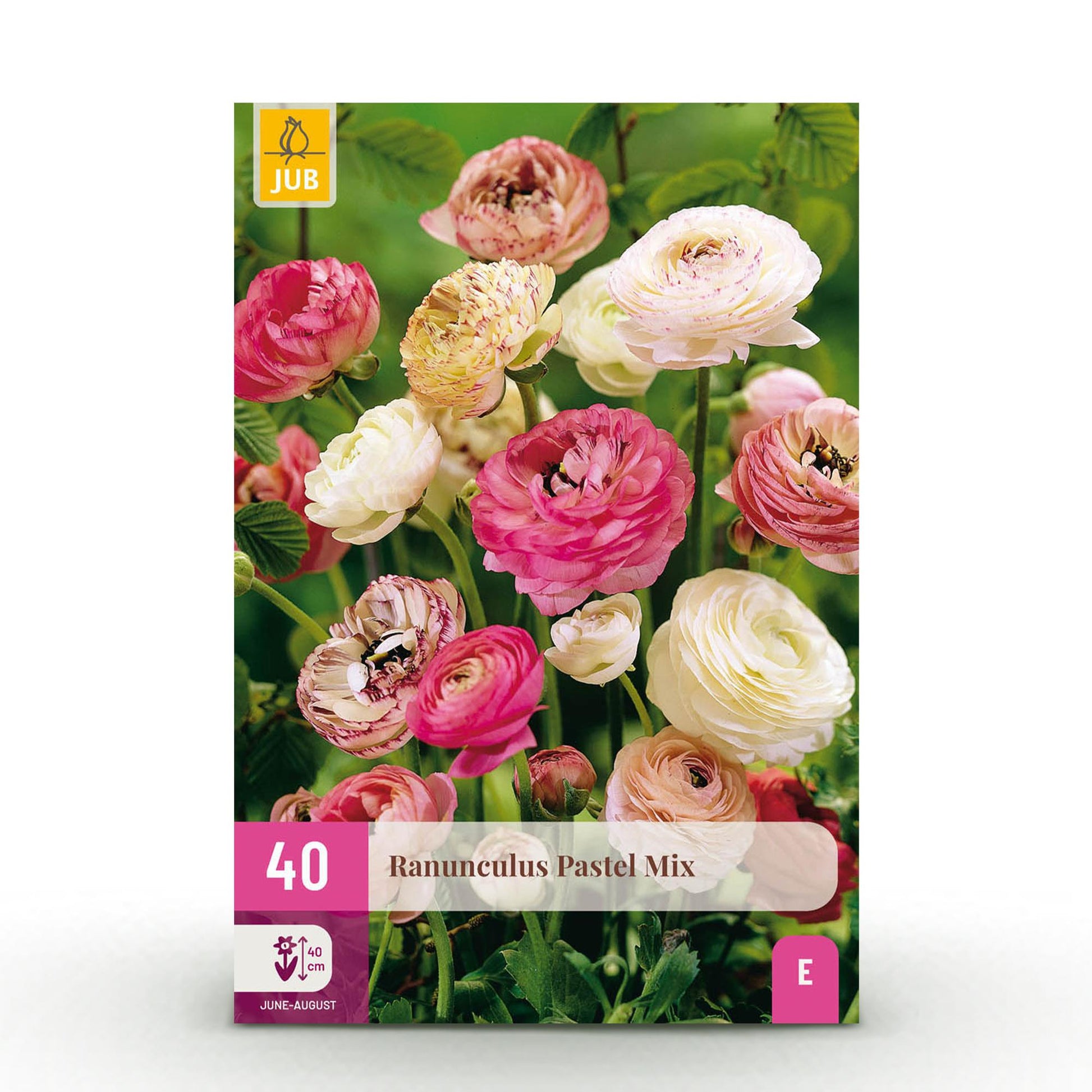 GreenboutiQ - Blumenzwiebeln - Ranunculus Pastel Mix - Verschiedene Farben - 40 Stück - Zwiebelgröße 5/6 - XXL Pack 