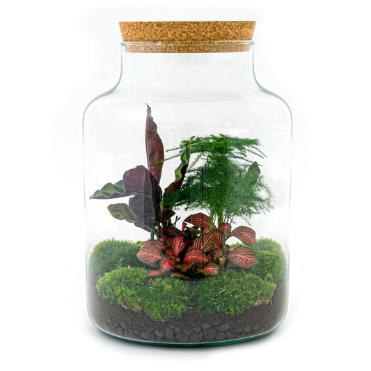 Flaschengarten - DIY Bausatz - Terrarium - Milky - ↕30cm