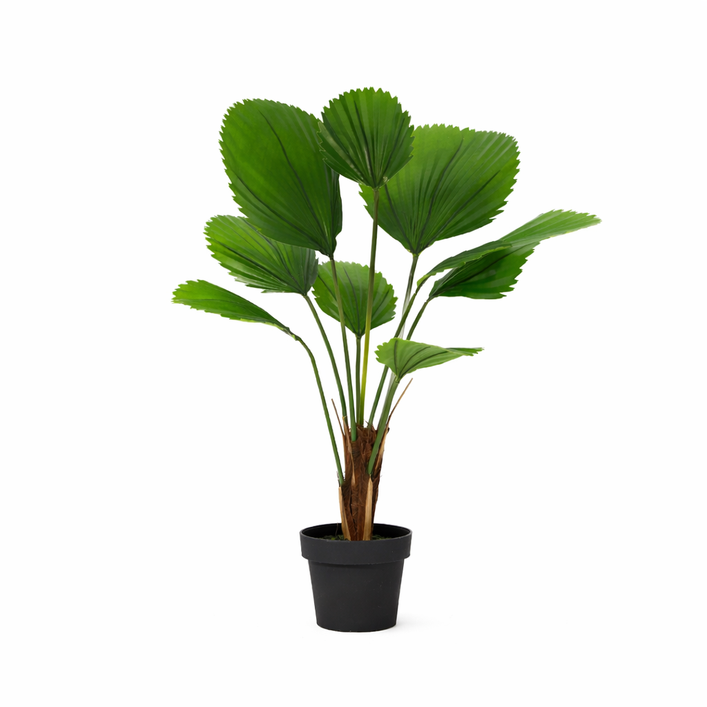 ARTIFICIAL Licuala Grandis - 104cm 