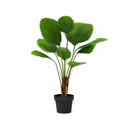 ARTIFICIAL Licuala Grandis - 104cm 