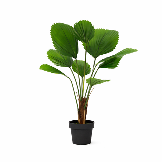 ARTIFICIAL Licuala Grandis - 104cm 