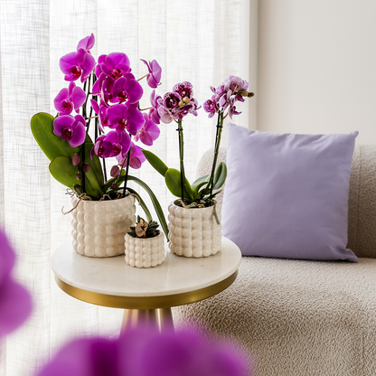 Kolibri Home | Poppy Ziertopf - White - Ø12cm 