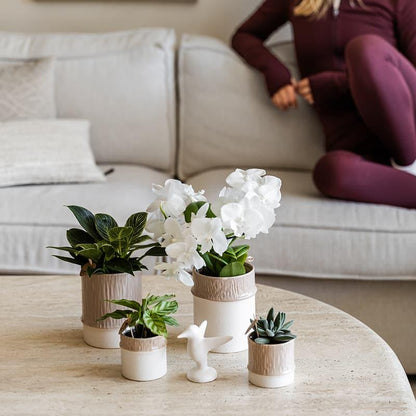 Kolibri Home | Bamboo Übertopf - Sand - Ø6cm 