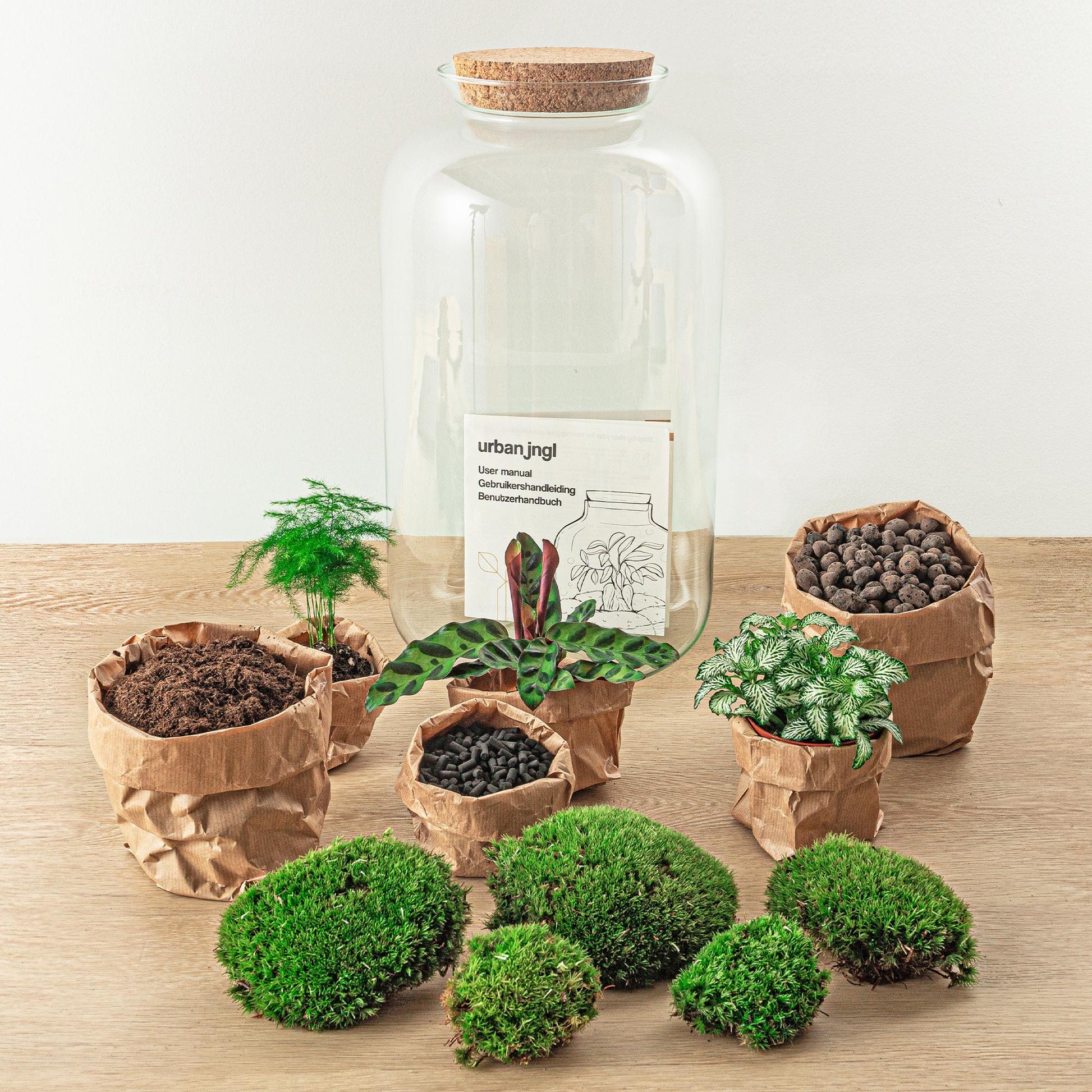 Flaschengarten Botanical Sven XL – DIY Bausatz Terrarium – ↕43cm – Do-It-Yourself Pflanzen-Set mit Korkdeckel – Autarkes Ökosystem – Inkl. Calathea, Fittonia & Moos – Für Zuhause & Büro 