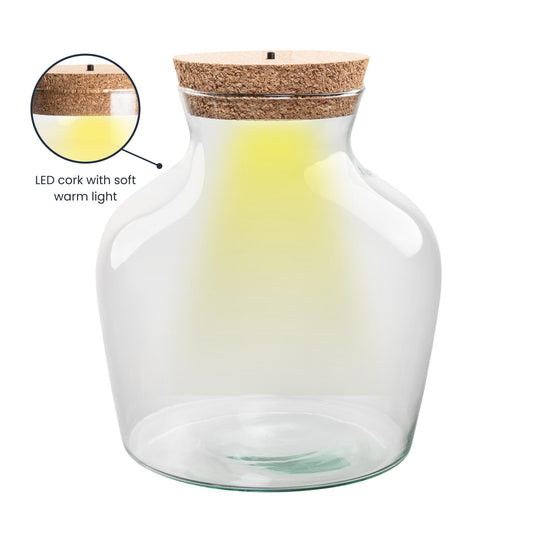 Terrarium fles met LED-verlichting - Gesloten terrarium - Little Joe - ↑ 22 cm - Ø 20 cm 