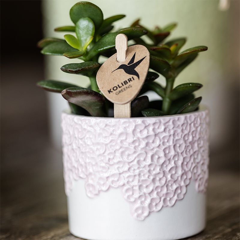 Kolibri Home | Bloom sierpot - Pink - Ø6cm 