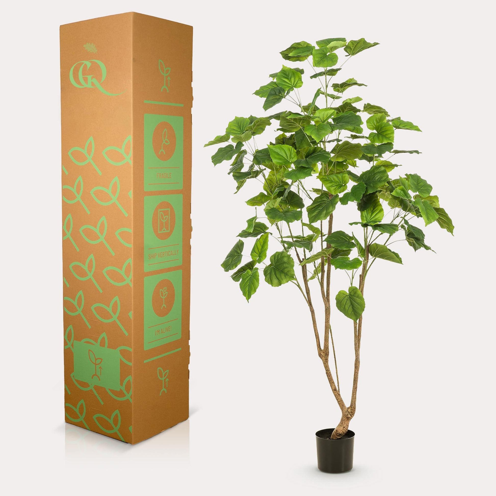 Kunstpflanze - Ficus Umbellata - Afrikanische Feige - 180cm 