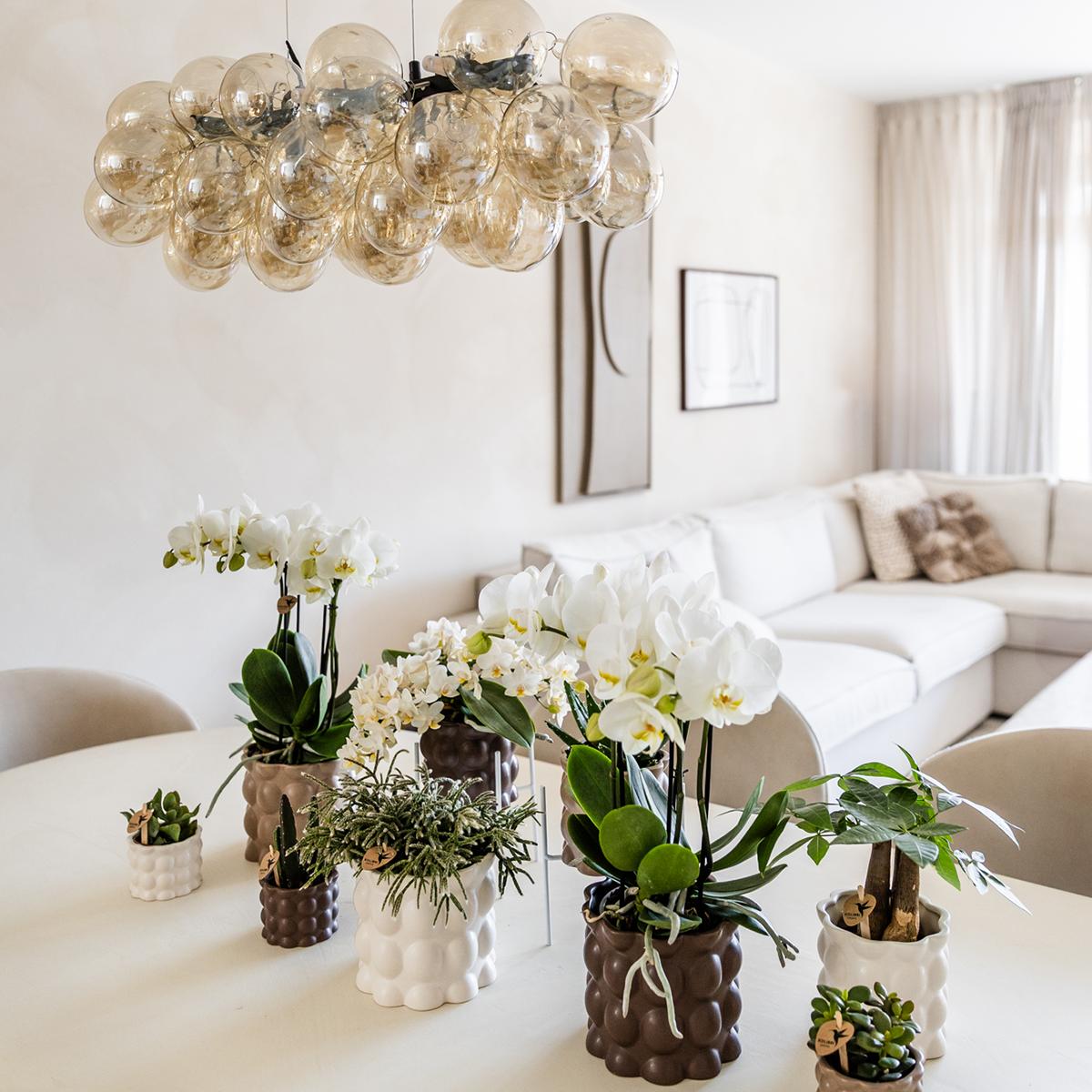 Kolibri Home | Cotton sierpot - White - Ø6cm 
