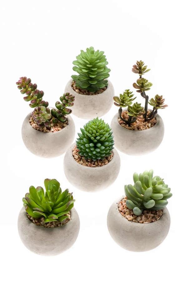 Kunst mini vetplanten in cementen pot - Succulent mix set 6 - Ø 6,5 