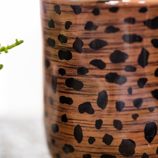 Kolibri Orchids | Leopard Geschenkset | Orange Bolzano Orchidee Ø9cm + Grünpflanze Ø6cm – inkl. Leopard‑Übertöpfe & schwarzem Tablett – frisch vom Züchter 