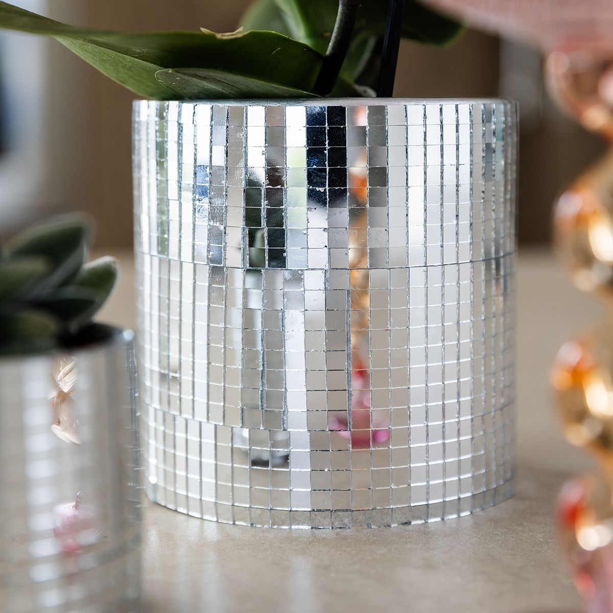 Kolibri Orchids | Violette Vienna Orchidee + Disco Übertopf – Topfgröße Ø9cm | blühende Zimmerpflanze – frisch vom Züchter 