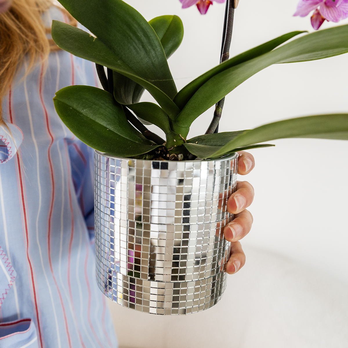 Kolibri Home | Disco sierpot - Ø9cm 
