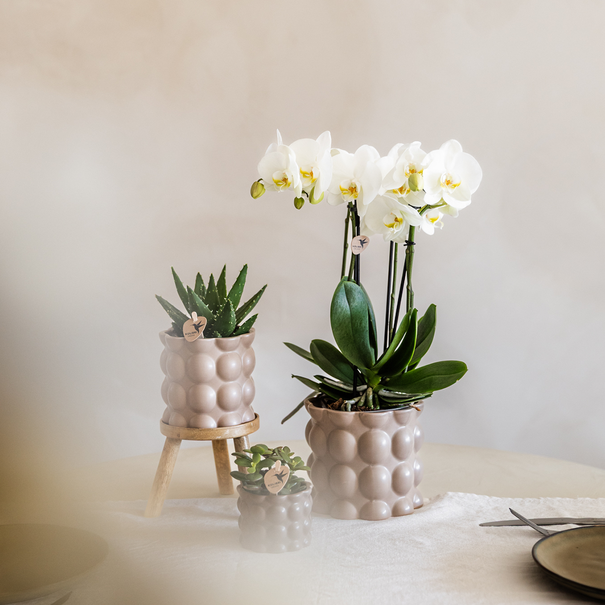 Kolibri Home | Cotton sierpot - Sand - Ø9cm 