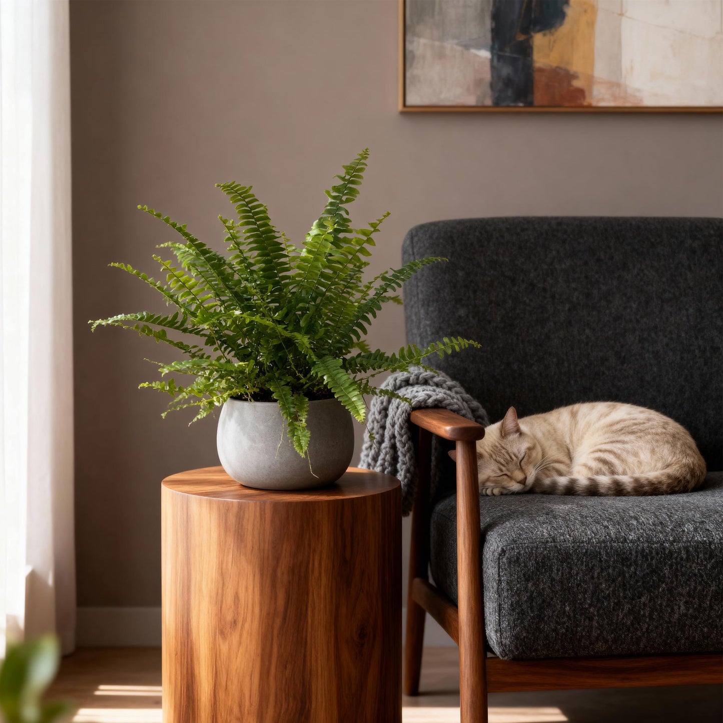 Green boutiQ - Zimmerpflanze - Nephrolepsis exaltata Green Lady - Farn - Haustierfreundlich - Grün - 2 Pflanzen - Topf 12cm - Höhe 28-30cm 