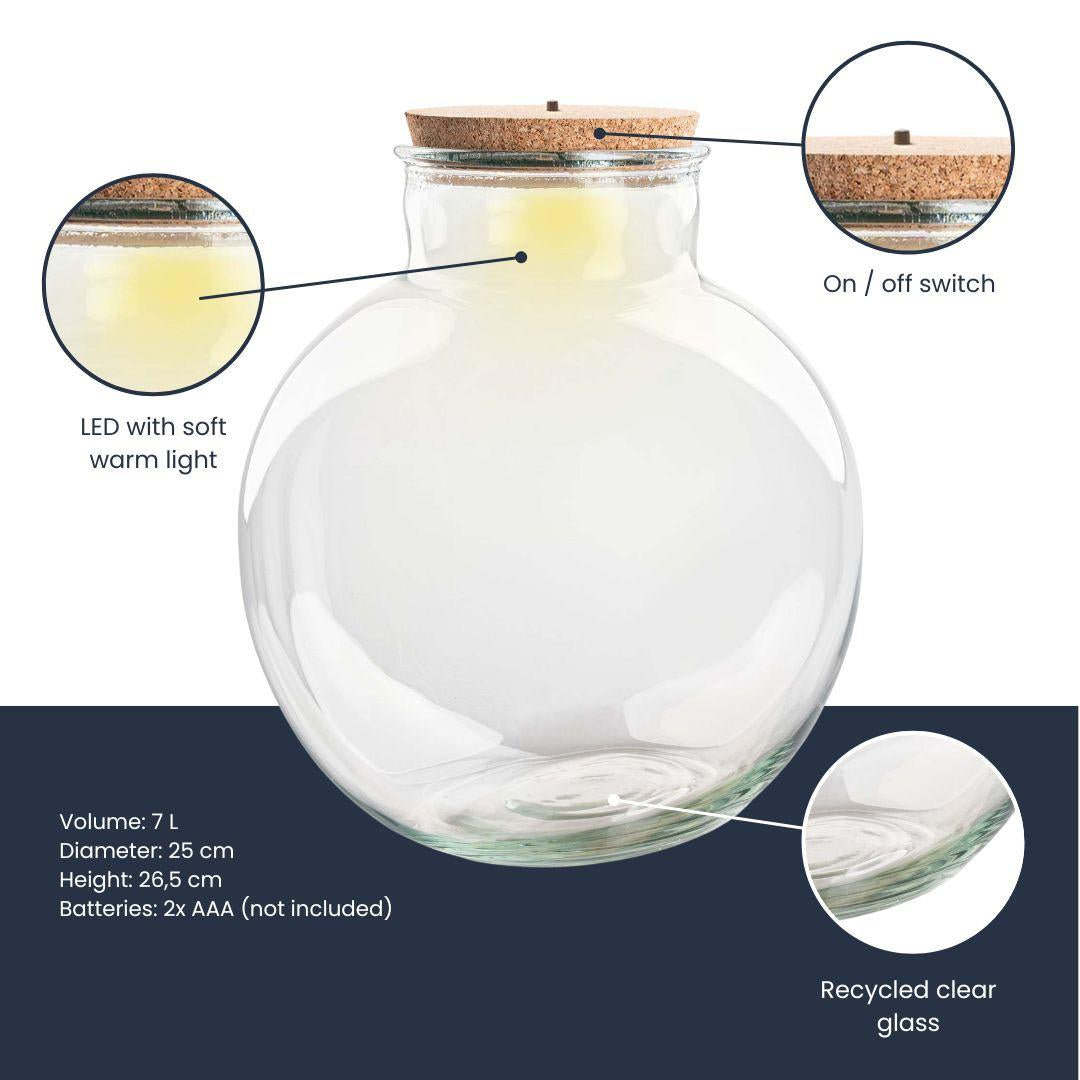 Terrarium fles (met) verlichting - Teddy - Ø 25 cm ↑ 26,5 cm - Zonder LED-kurk 