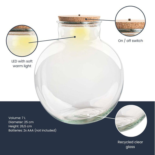 Terrarium fles (met) verlichting - Teddy - Ø 25 cm ↑ 26,5 cm - Zonder LED-kurk 