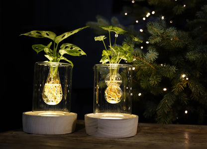 Christmas | Mix In Sydney Glas + LED - 1 Stück - Ø7cm - ↕20cm 