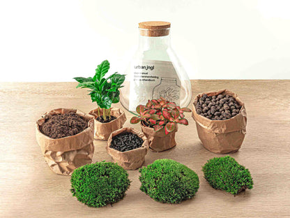 Flaschengarten DIY Bausatz Sammie Coffea – Ø22,5cm x H26cm – Selbstversorgendes Terrarium im Glas – Mit Pflanzen & Moos – Inkl. Anleitung – Geschenkidee für Zuhause & Büro