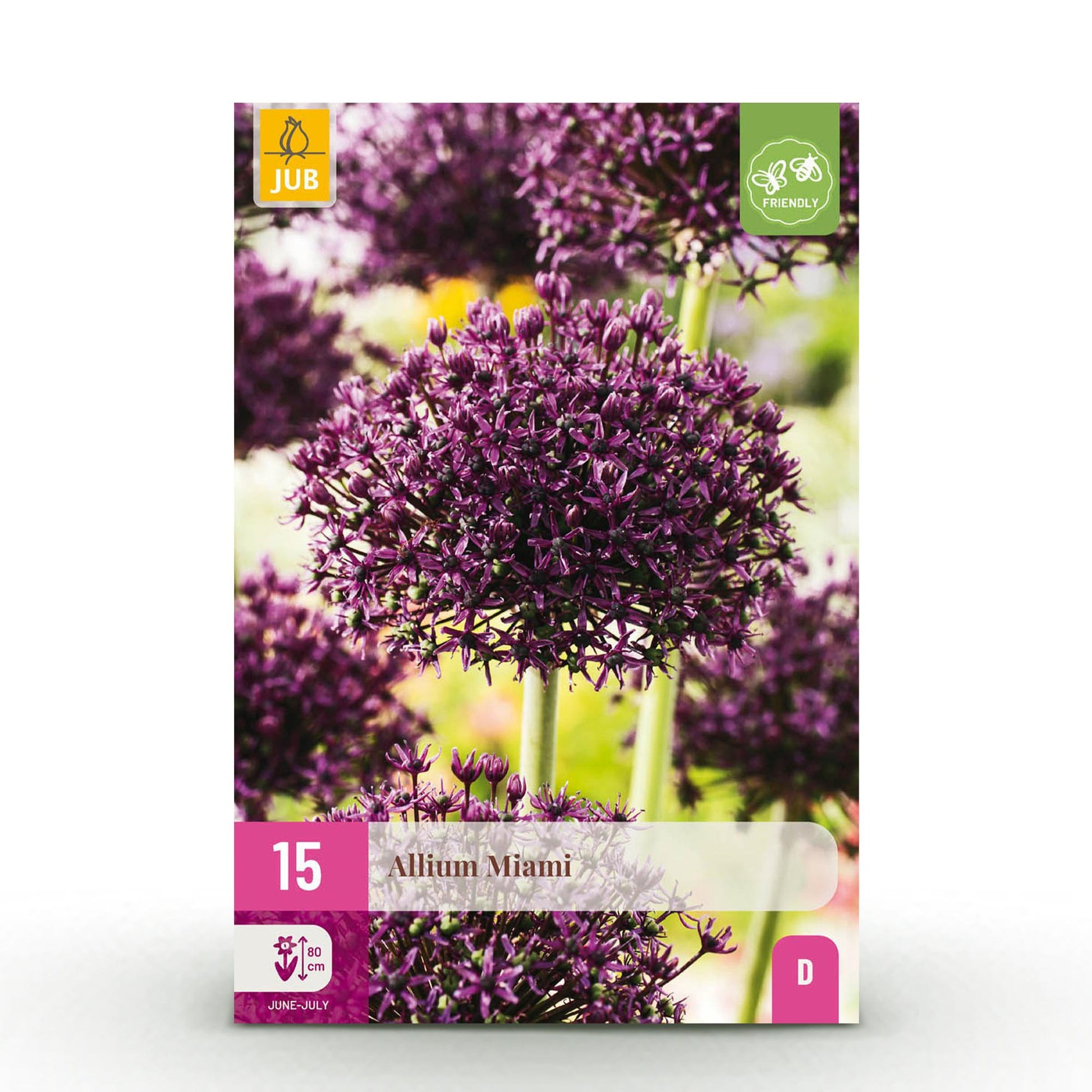 GreenboutiQ - Blumenzwiebeln - Allium Miami - Farbe Lila - 15 Stück - Zwiebelgröße 10/11 - XXL Pack 