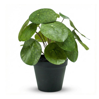 Pilea Kunstpflanze Busch – ca.25cm – Im schwarzen Topf – Realistische künstliche Zimmerpflanze – Pflegefreie Deko für Fensterbank Regal & Büro