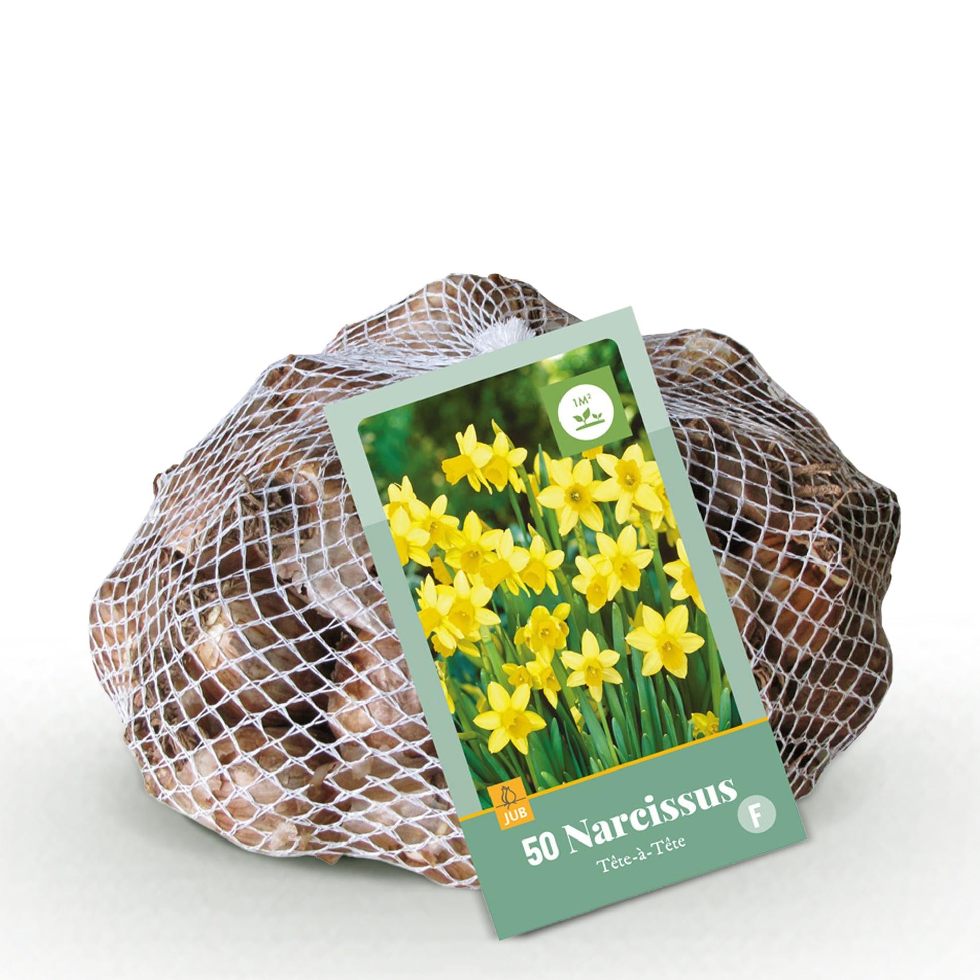 GreenboutiQ - Blumenzwiebeln - Narcis Tete-A-Tete - Farbe Gelb - 50 Stück - Zwiebelgröße 10/12 