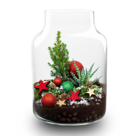Frosty Christmas Terrarium – DIY Pflanzen Terrarium Winter Edition – Ø17cm x 25cm – Autarkes Weihnachts Flaschengarten Set mit Picea Glauca Aloe Humilis Moos Erde Hydrogranulat Dekoset 