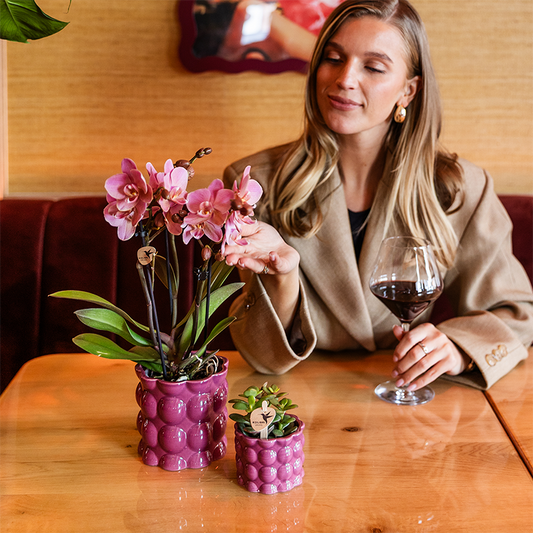 Kolibri Home | Cotton Shine Übertopf - Purple - Ø9cm 