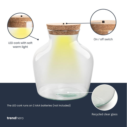 Terrarium fles met LED-verlichting - Gesloten terrarium - Little Joe - ↑ 22 cm - Ø 20 cm 