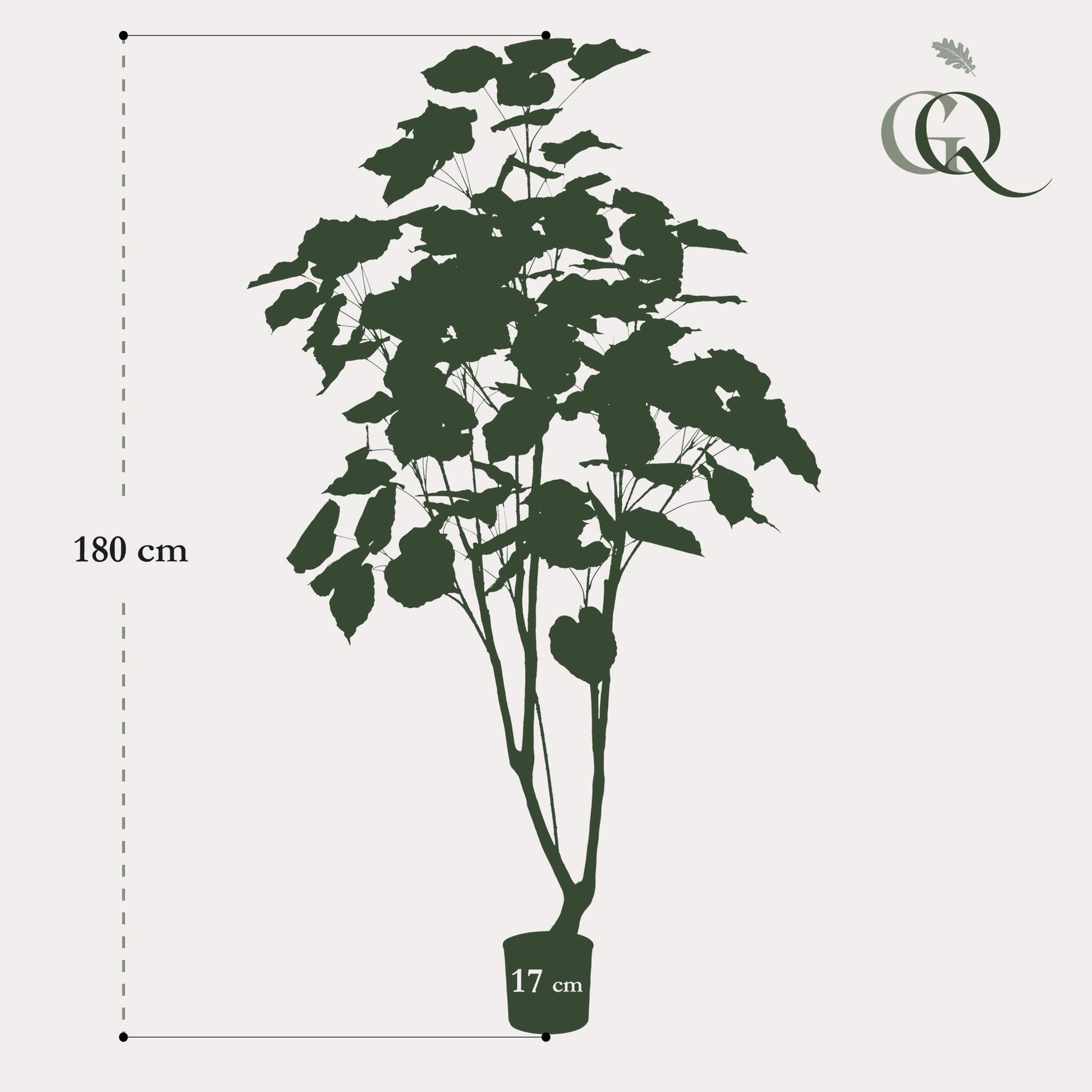 Kunstpflanze - Ficus Umbellata - Afrikanische Feige - 180cm 