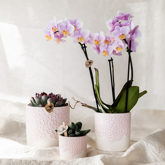 Kolibri Home | Bloom sierpot - Pink - Ø9cm 