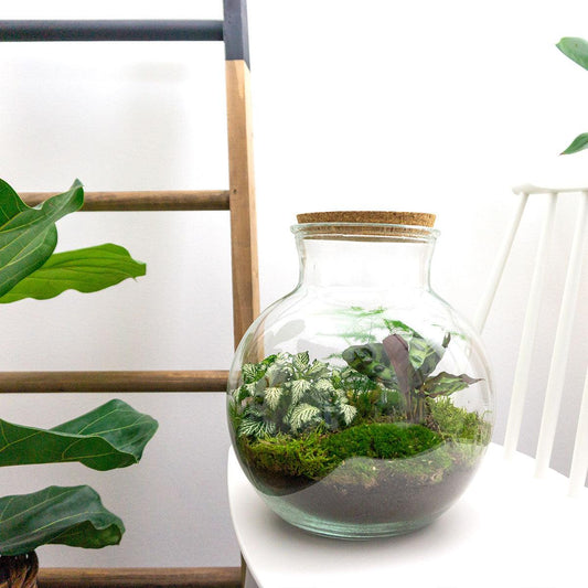 Flaschengarten - DIY Bausatz - Terrarium - Teddy - ↕26,5cm