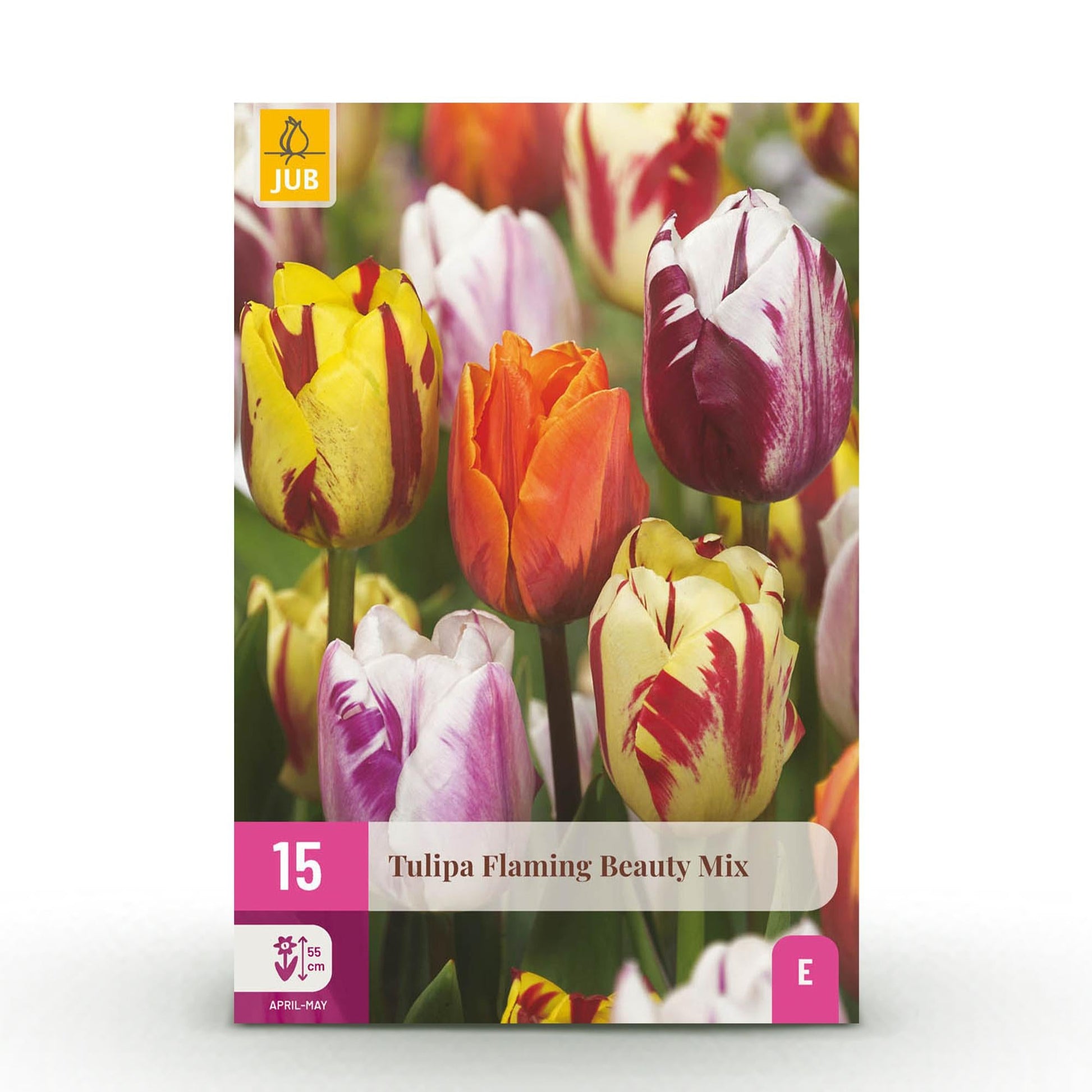 GreenboutiQ - Blumenzwiebeln - Tulp Flaming Beauty Mix - Verschiedene Farben - 15 Stück - Zwiebelgröße 11/12 - XXL Pack 