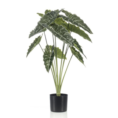 Alocasia Kunstpflanze 80cm – Tropischer Blickfang in Grün – Pflegeleicht & Realistisch – Ohne Gießen – Für Wohnzimmer, Büro & Gastronomie