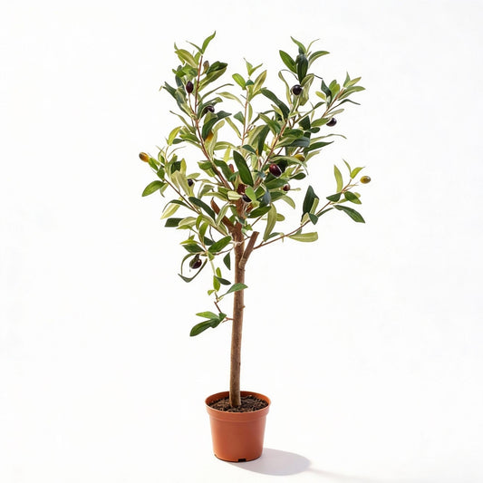 Olijfboom in pot 65cm – Kunstplant - Artificial plant 