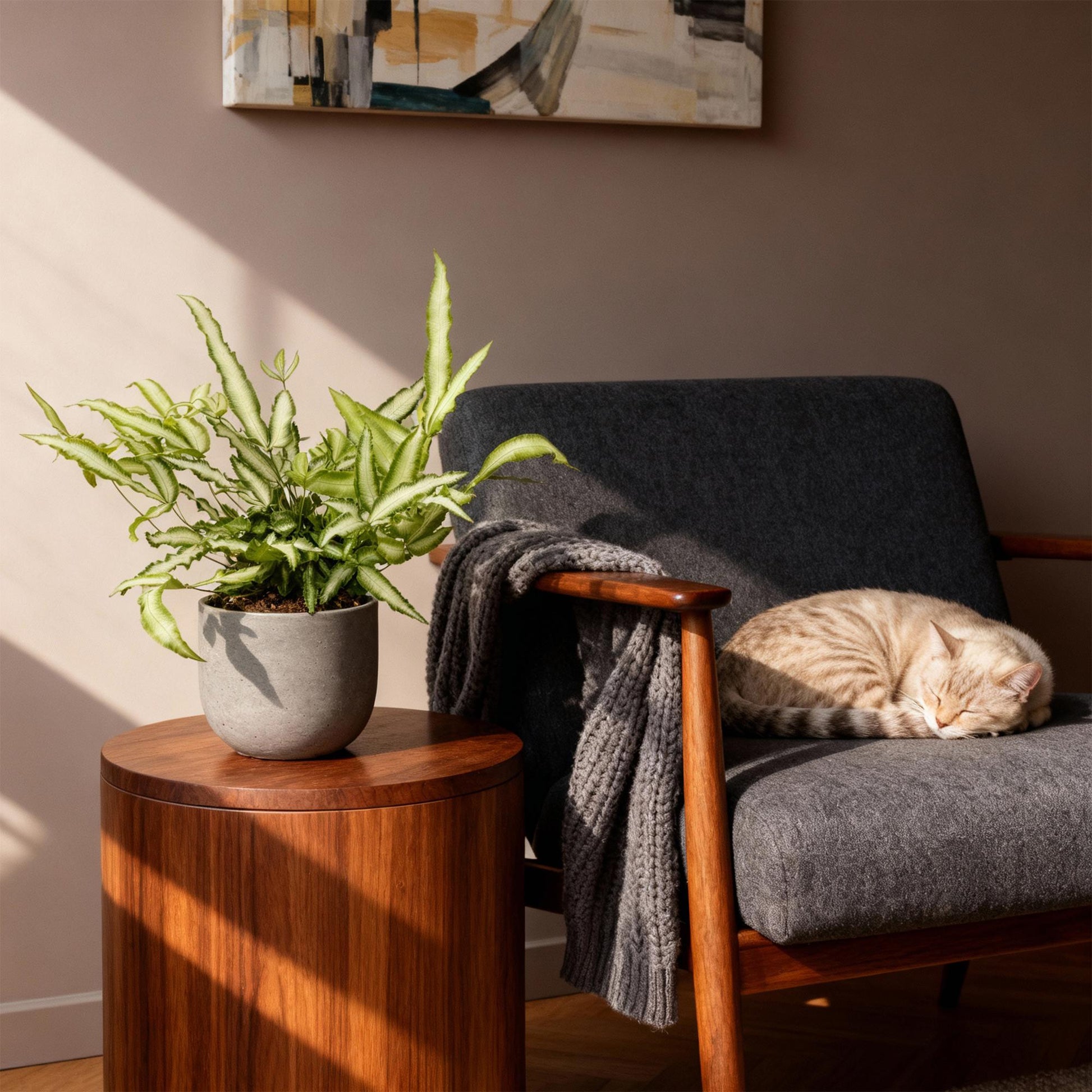 Green boutiQ - Zimmerpflanze - Pteris cretica Albolineata - Bandfarn - Haustierfreundlich - Bunt - 4 Pflanzen - Topf 12cm - Höhe 28-30cm 