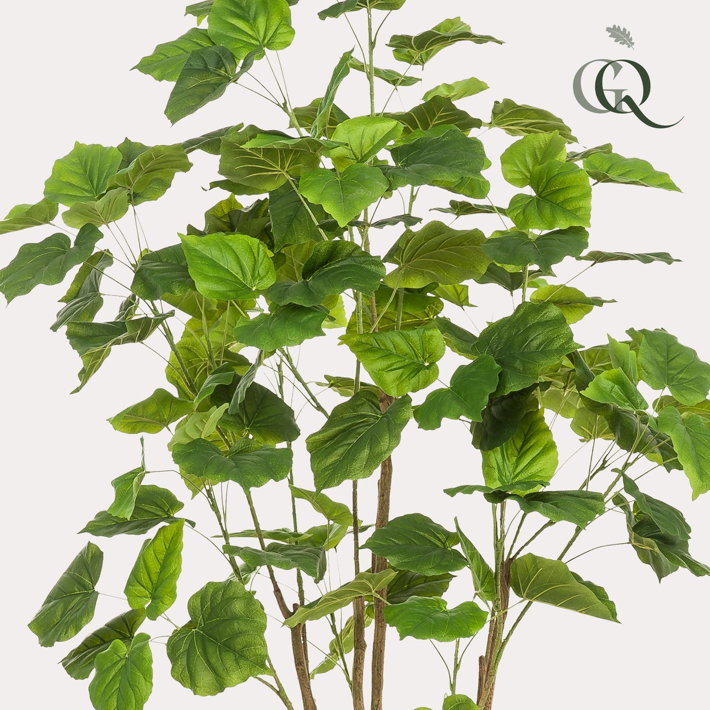 Kunstpflanze - Ficus Umbellata - Afrikanische Feige - 180cm 